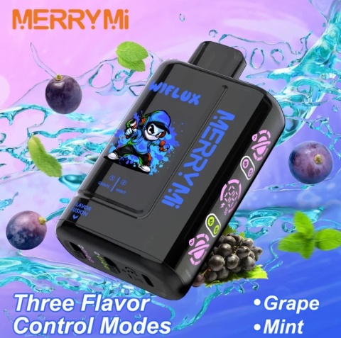 E-papieros MerryMI 24000 Wiflux Grape/Mint